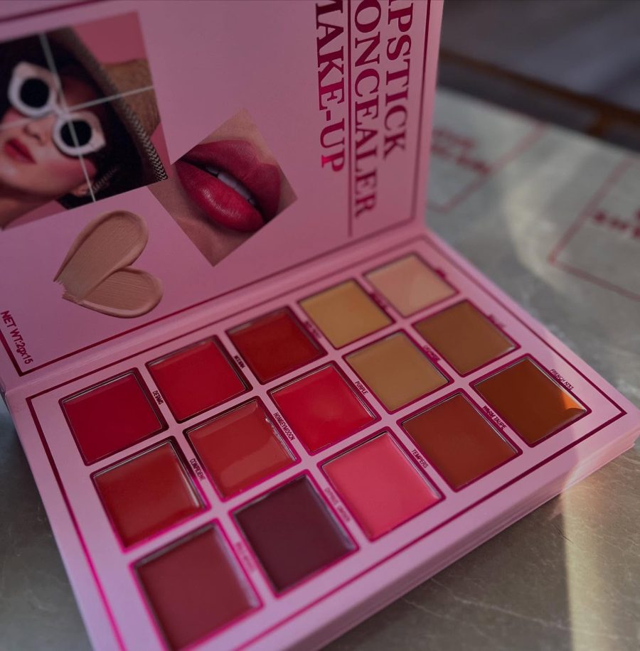 Love Sheglam Makeup Book 5 In 1 Professional Makeup Book Palette – All-in-one Eyeshadow, Eyebrow Powder, Concealer, Lipstick , Blusher & Highlighter Kit