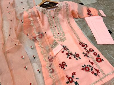 Women’s Stitched Organza Embroidered Suit