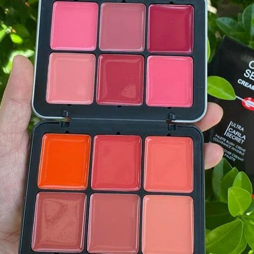 12 In 1 Carla Secret Creamy Blush Lipstick Palette