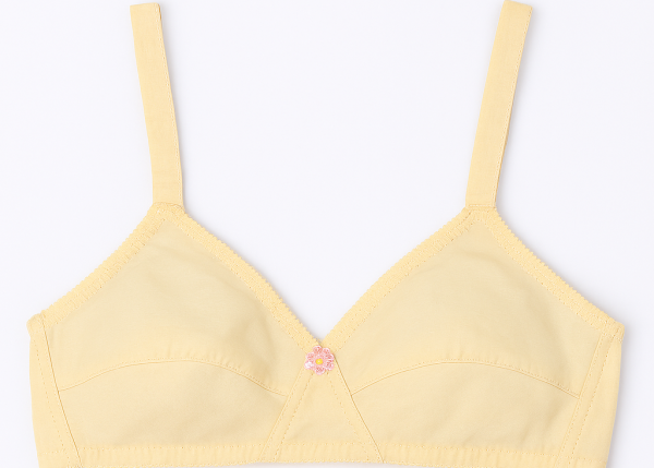 Cotton Sada Bra Pack Of 3 – Mehroon, Black & Skin Color | Comfortable 3 Hook Non-padded Bra For Women