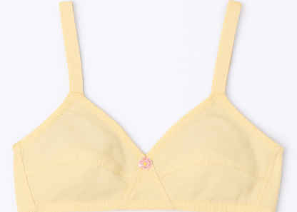 Cotton Sada Bra Pack Of 3 – Mehroon, Black & Skin Color | Comfortable 3 Hook Non-padded Bra For Women